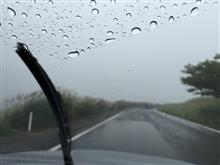 雨なので