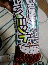チョコミントアイス チョコミントアイス