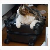 連休頂きました(おまけ) 