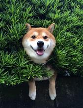 近況報告ツー！と秋オフ