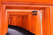 新レンズで撮ってみたのだが・・・・