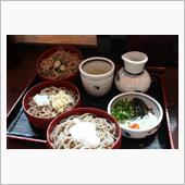 「献上そば　羽根屋」　天ぷら ...
