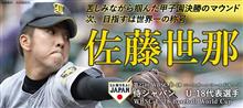 残念無念、あと一歩