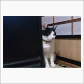 代車な休日