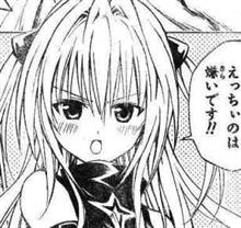 お国柄なんでしょうねぇ～…