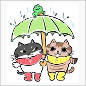 日曜日の妄想族・・・・