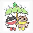 日曜日の妄想族・・・・