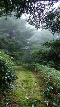 雨男にも程があるぅぅ(ちち山登山) 雨男にも程があるぅぅ(ちち山登山)