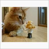 ネコと映画とフィギュアな日々