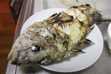 ご近所さんのつり名人から～♪