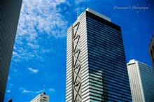 台風一過の西新宿　〜常國寺と摩天楼〜