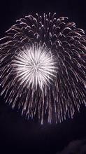 最後の夏休み 最後の夏休み