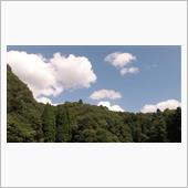 大蛭山林道調査