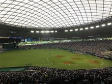 野球観戦（埼玉西武VS千葉ロッテ）
