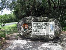 フロリダ旅行 7日目 エヴァーグレーズ国立公園 フロリダ旅行 7日目 エヴァーグレーズ国立公園