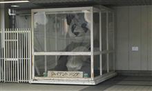 大河原邦男展へ