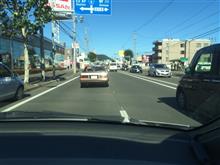 ☆　札幌のクルーズ 朝イチ 車窓から THEハングマン編！　☆