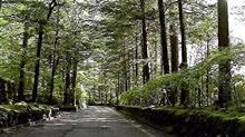 信州路旅 1日目 信州路旅 1日目