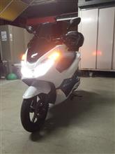 来た！
