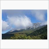 やっぱり大山