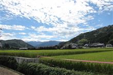 SW Last Day in 親父の実家