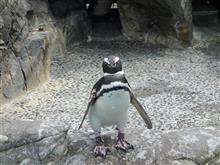 別府温泉紀行　その２