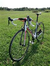 Wiggle 自転車購入記① ポチり編