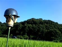 未定ではありますが・・・