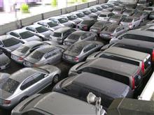 パトカーの墓場に再度訪問