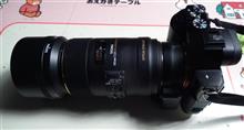 SIGMA 105mm macro F2.8