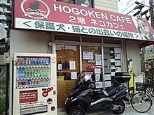 hOgOkeNcAfEe