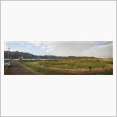 赤トンボが飛び交う大平ブドウ園