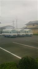 リース車だったのか。