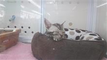 ちょっと