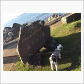葉山 森戸海岸をつるちゃんと ...