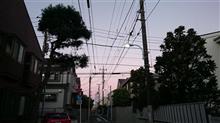 肌寒くなってまいりました(*・・*)