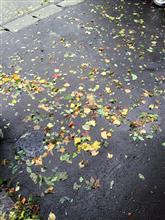 低気圧の影響で・・・
