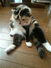 いよいよ(*^O^*)