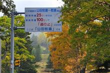 紅葉の国道292号「志賀草津道路」 ② 山田牧場~再び平床 (2015.10) 紅葉の国道292号「志賀草津道路」 ② 山田牧場~再び平床 (2015.10)
