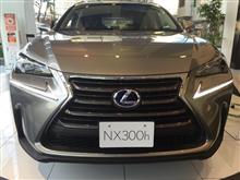 ハリアーハイブリッド、NX 300h試乗