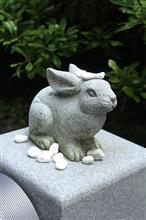 白兎神社＆白兎海岸