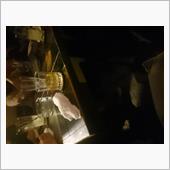 飲み会ですよ