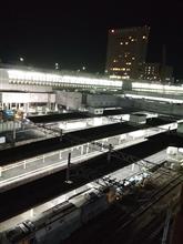 広島に潜伏中