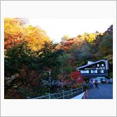 紅葉狩り