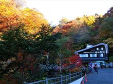 紅葉狩り