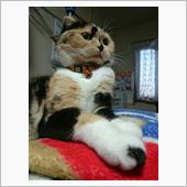 プラチナウィーク☆ポーター編☆
