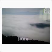 朝の松江は霧が凄かったよう