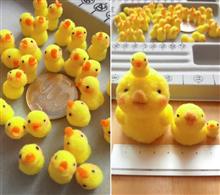 えさくれヒヨコ、絶賛孵化中
