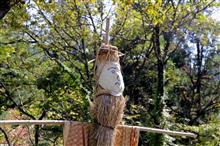 福井SS会に参加してきました
