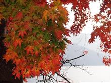 日光中禅寺湖の紅葉を見に